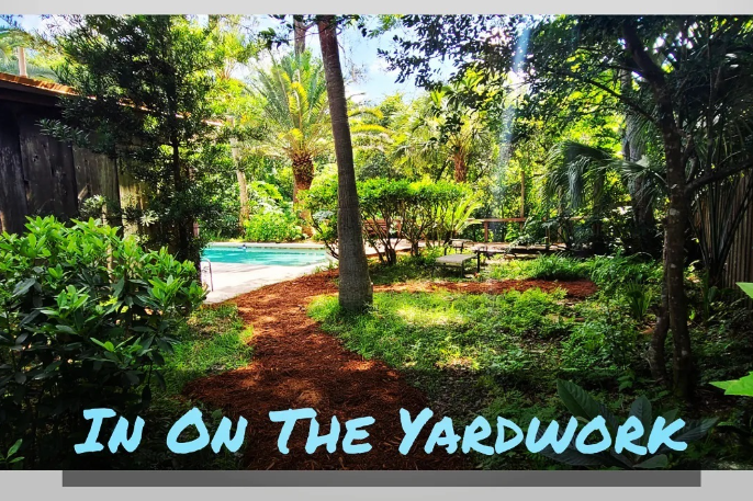 This social media website will show you pictures of the 501c3 organization that Patrickk helps volunteer with.